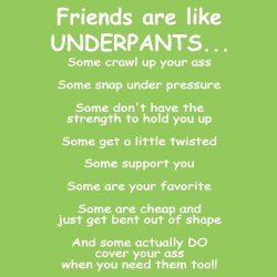 Friends are Like Underpants