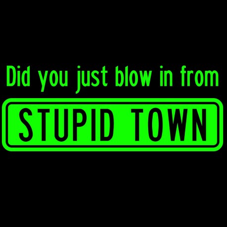 Did You Just Blow In From Stupid Town
