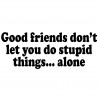 Good Friends Don't Let You Do Stupid Things Alone