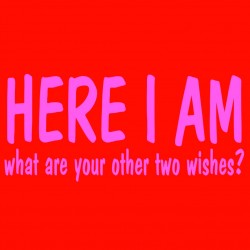 Here I Am What Are Your Other Two Wishes?