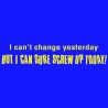 I Can't Change Yesterday But I Can Sure Screw Up Today