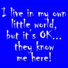 I Live In My Own Little World But Its Ok They Know Me Here