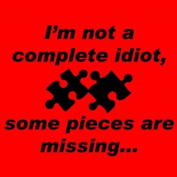 I'm Not A Complete Idiot Some Pieces Are Missing
