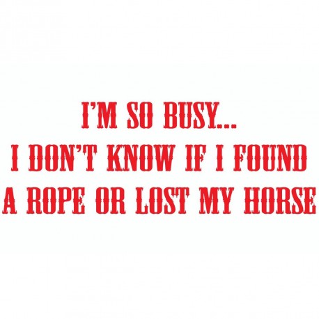 I'm So Busy I Don't Know If I Found A Rope Or Lost My Horse