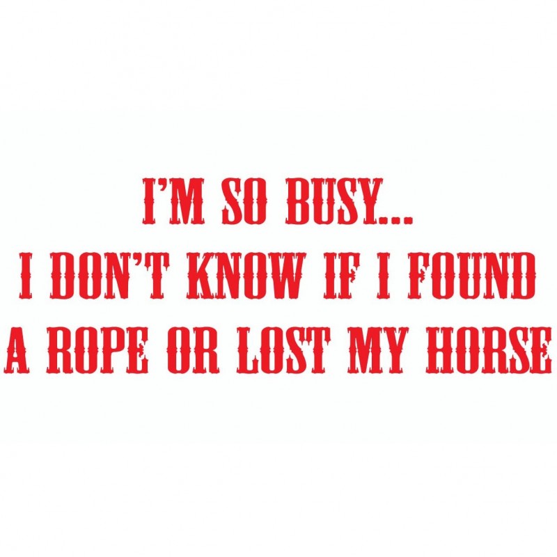 METAL MAGNET Cowgirl So Busy Don't Know Found Rope Or Lost Horse Humor MAGNET 