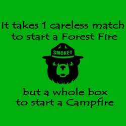 It Takes 1 Careless Match For A Forest Fire And A Whole Box For A Campfire