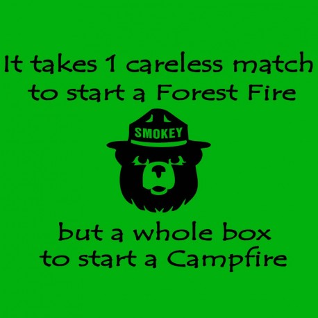 It Takes 1 Careless Match For A Forest Fire And A Whole Box For A Campfire