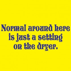 Normal Around Here Is Just A Setting On The Dryer