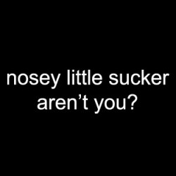 Nosey Little Sucker Aren't You