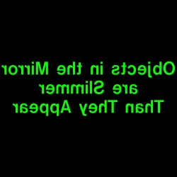 Objects In The Mirror Are Slimmer Than They Appear
