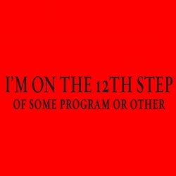 12th Step of Some Program