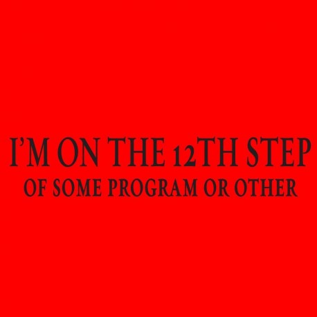 12th Step of Some Program