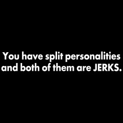You Have Split Personalities And Both Of Them Are Jerks