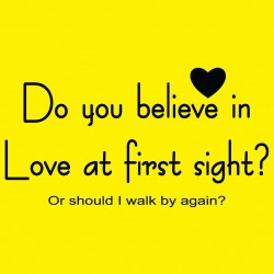 Do You Believe In Love At First Sight? Or Should I Walk By Again?