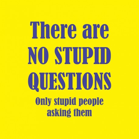 There Are No Stupid Questions Only Stupid People Asking Them