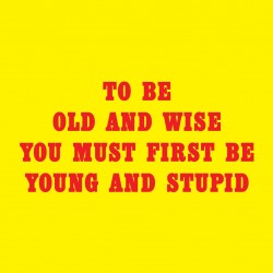 To Be Old And Wise You Must First Be Young And Stupid