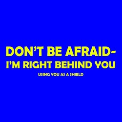 Don't Be Afraid - I'm Right Behind You Using You As A Shield