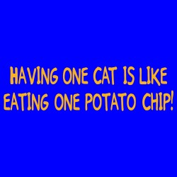 Having One Cat Is Like Eating One Potato Chip!