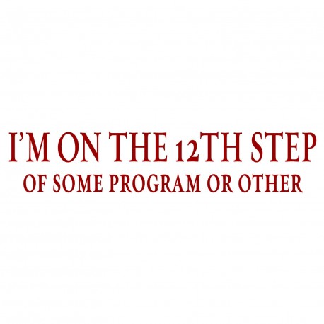 I'm On The 12th Step Of Some Program Or Other