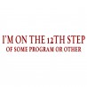 I'm On The 12th Step Of Some Program Or Other