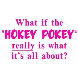 What If The "Hokey Pokey" Really Is What It's All About?