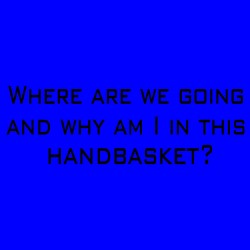 Where Are We Going And Why Am I In This Handbasket?