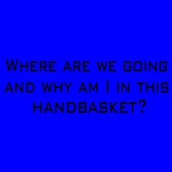 Where Are We Going And Why Am I In This Handbasket?