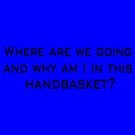 Where Are We Going And Why Am I In This Handbasket?