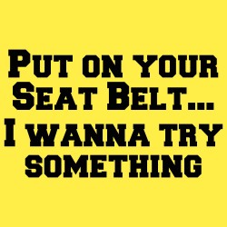Put On Your Seat Belt ... I Wanna Try Something