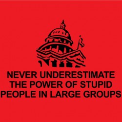 Never underestimate the power of stupid people in large groups