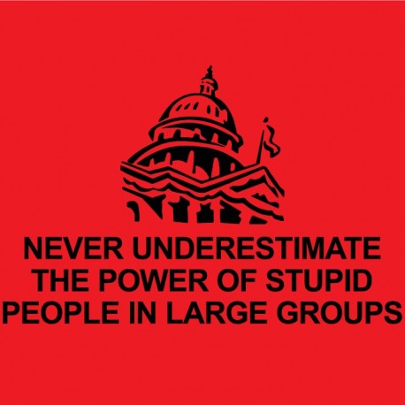 Never underestimate the power of stupid people in large groups