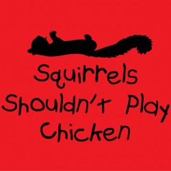 Squirrels shouldn't play chicken